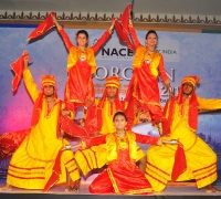 Bhangra Dance